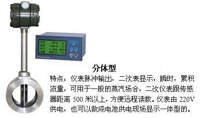 夾持式渦街流量計分體型產品圖